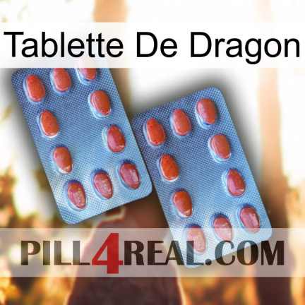 Dragon Tablet 05